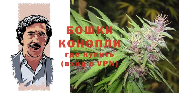дурь Белокуриха
