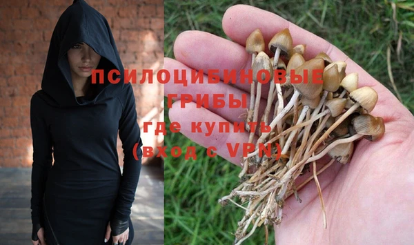 дурь Белокуриха