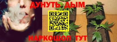 PSILOCYBIN Бузулук