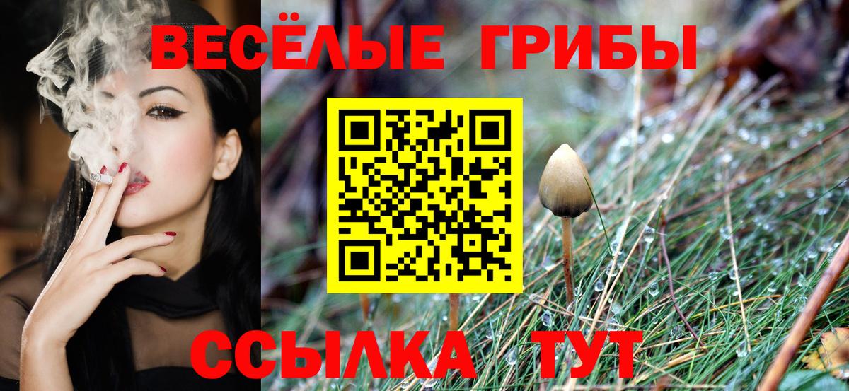 Галлюциногенные грибы мицелий  Вход с VPN  Гай 