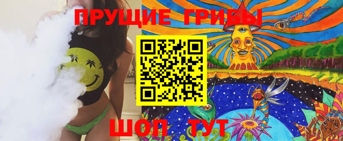 Псилоцибиновые грибы GOLDEN TEACHER  где найти   Гай 