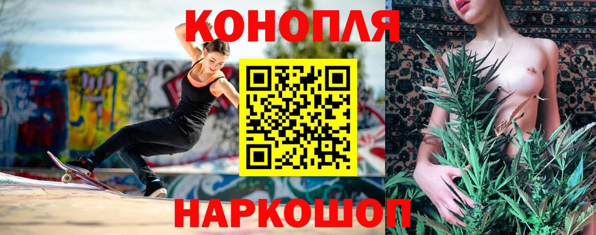 Марихуана конопля Гай